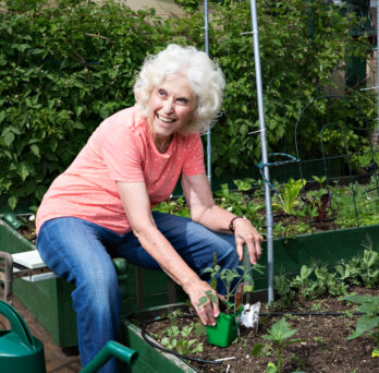 A woman who is sitting leans over a raised garden bed full of small green plants.
                  