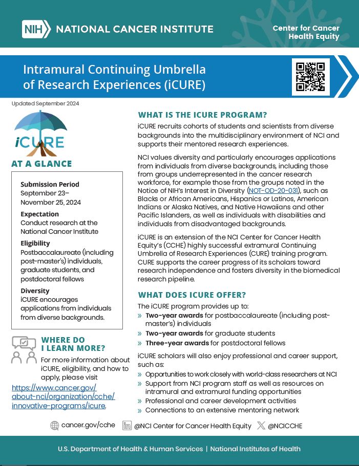 iCURE flyer