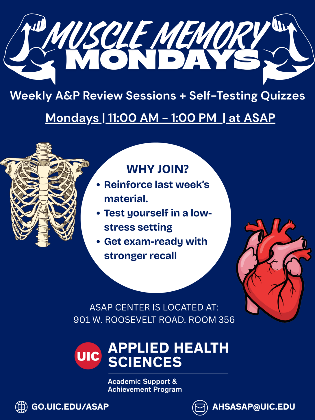 Flyer for Muscle Memory Mondays, a weekly Anatomy & Physiology review session. Held Mondays from 11 AM to 1 PM at the ASAP Learning Center, 901 W. Roosevelt Road, PEB Room 356. Reinforce last week’s material, test yourself in a low-stress setting, and get exam-ready with stronger recall. Contact: ahsASAP@uic.edu, website: go.uic.edu/ASAP.