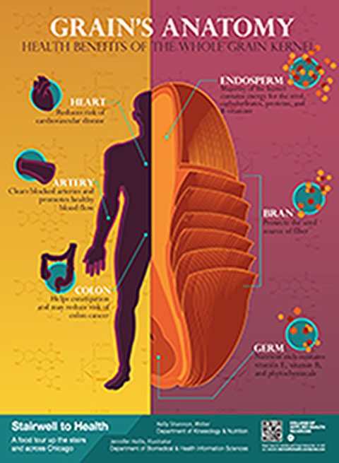 Poster outlining the nutrition benefits of whole grains