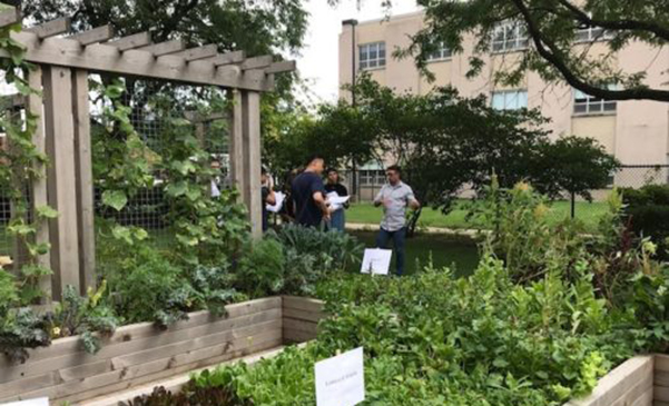 UIC nutrition garden