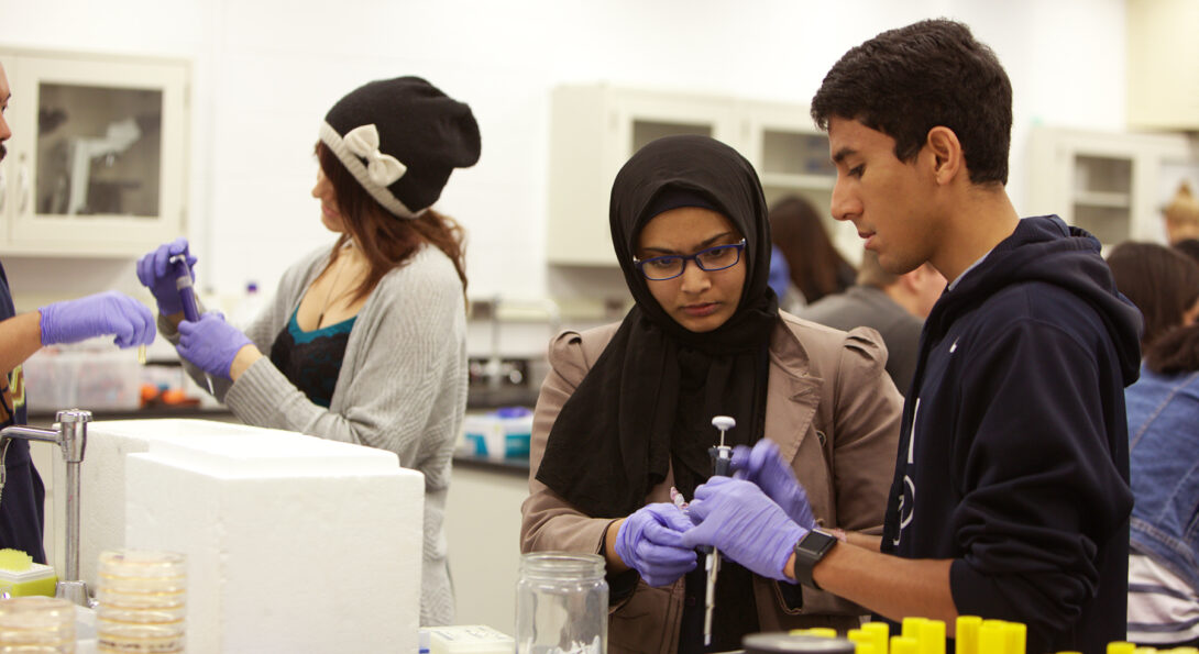 Two students in a lab setting collaboate on research project