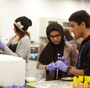 Two students in a lab setting collaboate on research project
                  