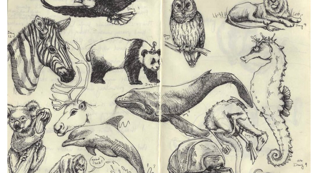 Two pages of a sketch book contain various small black ink illustrations of various animals