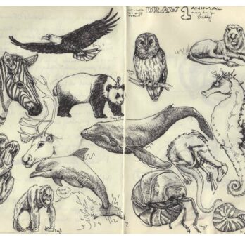 Two pages of a sketch book contain various small black ink illustrations of various animals
                  