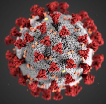 This illustration, created at the Centers for Disease Control and Prevention (CDC), reveals ultrastructural morphology exhibited by coronaviruses.
                  