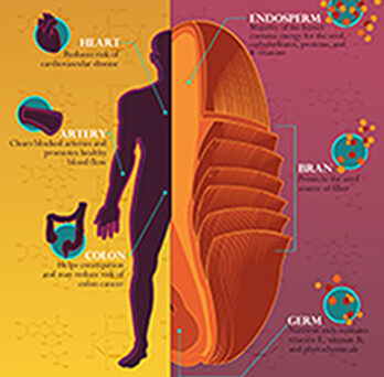 Poster outlining the nutrition benefits of whole grains
                  