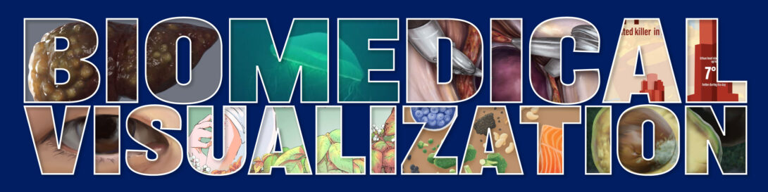 2024 Biomedical Visualization student work collage