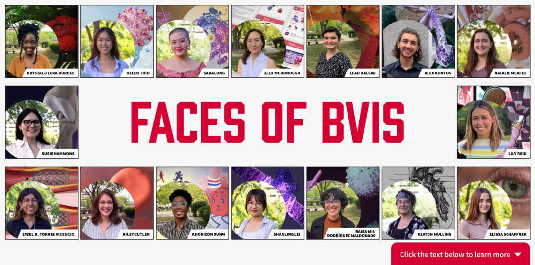 Grid of Class if 2024 BVIS student headshots