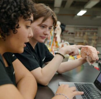 Two students looking at a photo of a brain on a laptop while one student holds a model of a brain 