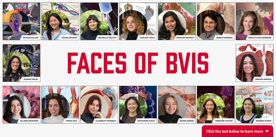Grid of Class of 2025 BVIS student headshots