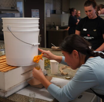Sydney Galsan, UIC College of Liberal Arts and Sciences student, portions freshly extracted honey into jars while Renea Lyles looks on. Students received one-ounce samples to take home for their work during the harvest.
                  