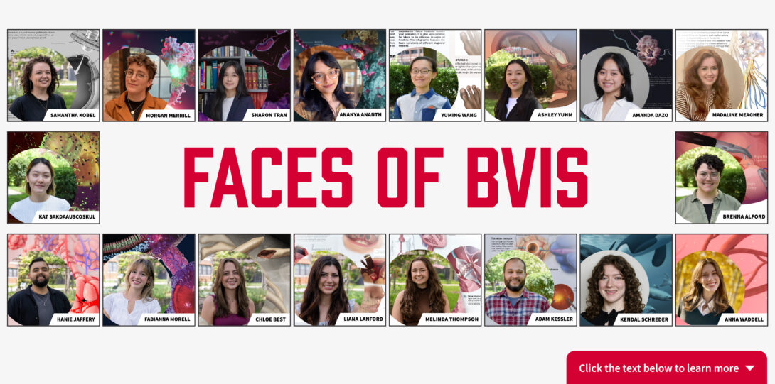 Grid of Class of 2025 BVIS student headshots